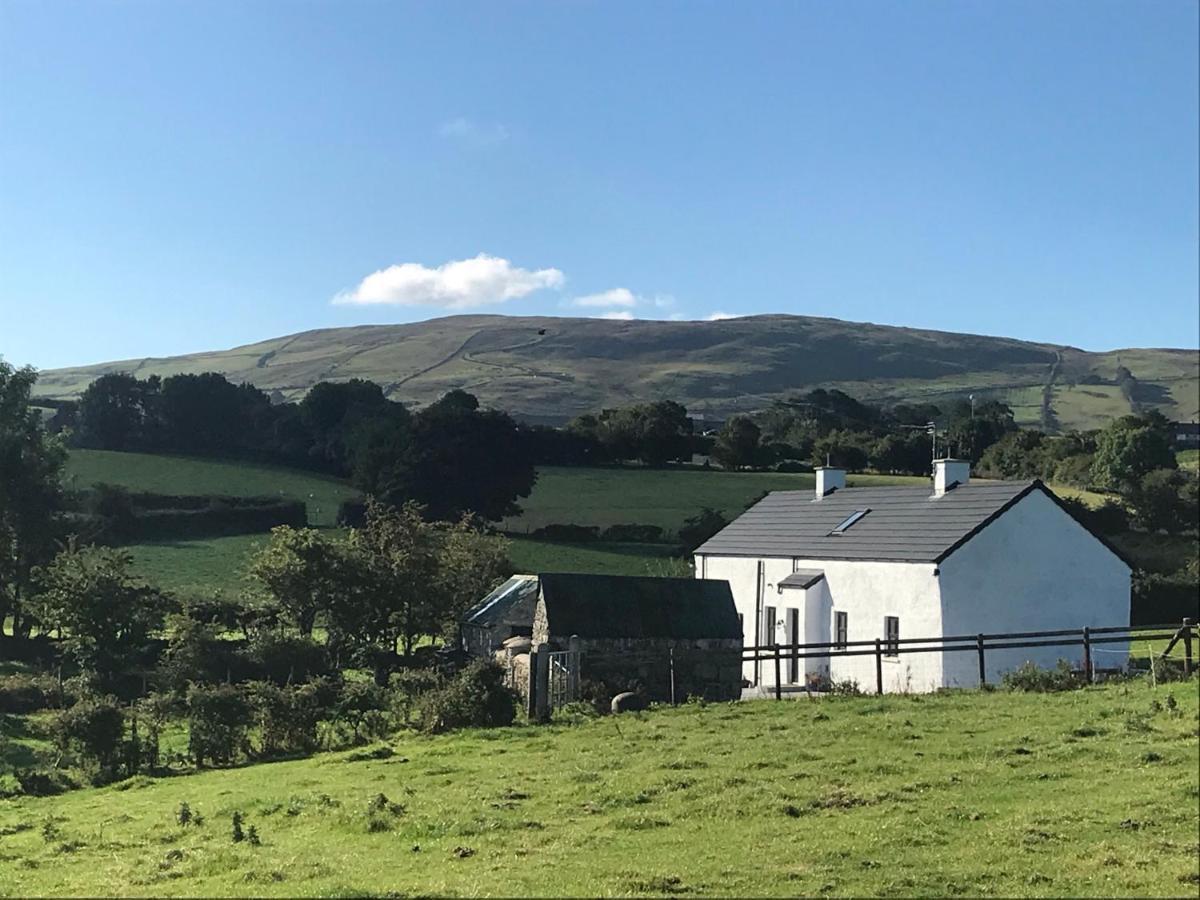 Mournes Family Cottage With Hot Tub Hilltown Exteriér fotografie